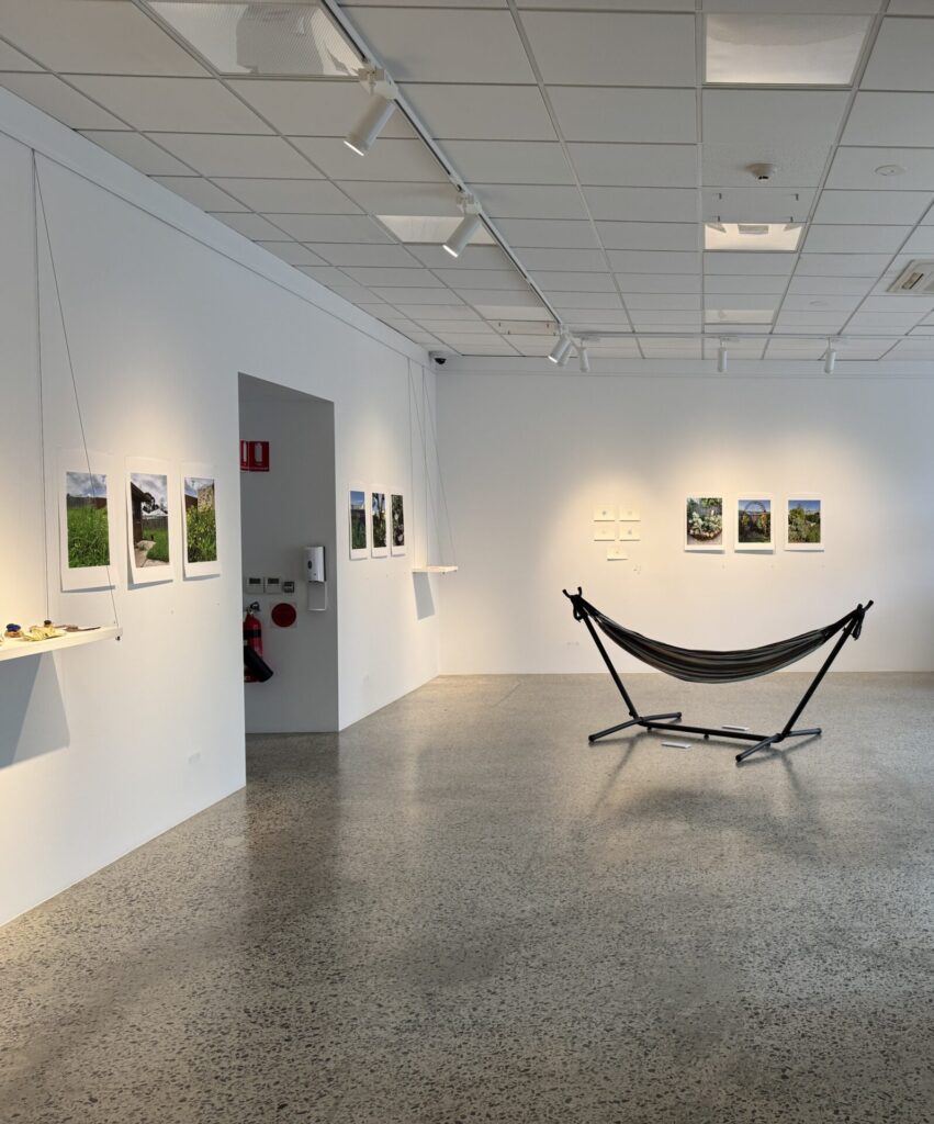 A hammock sits in a corner of a gallery. Around it are photographs of various gardens and knitted objects on hanging shelves.